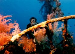 Wreck with soft coral, Nikonos V with 28mm lense. by Marylin Batt 